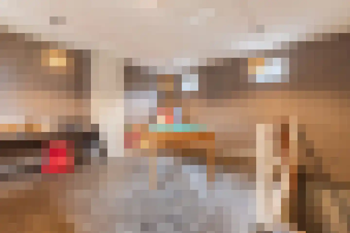 Bovenste straat 20 A Echt thumbnail 64
