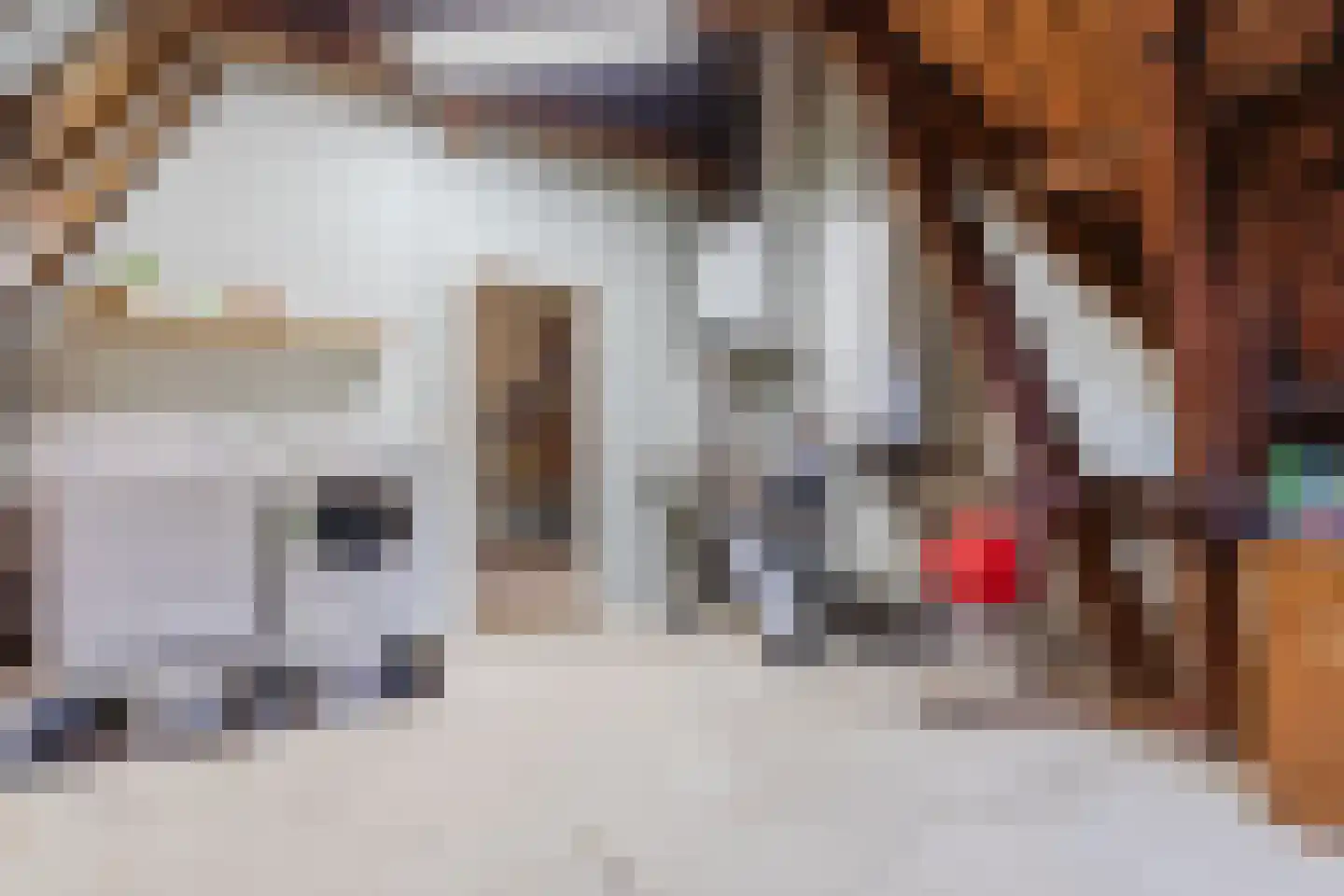 Bovenste straat 20 A Echt thumbnail 67