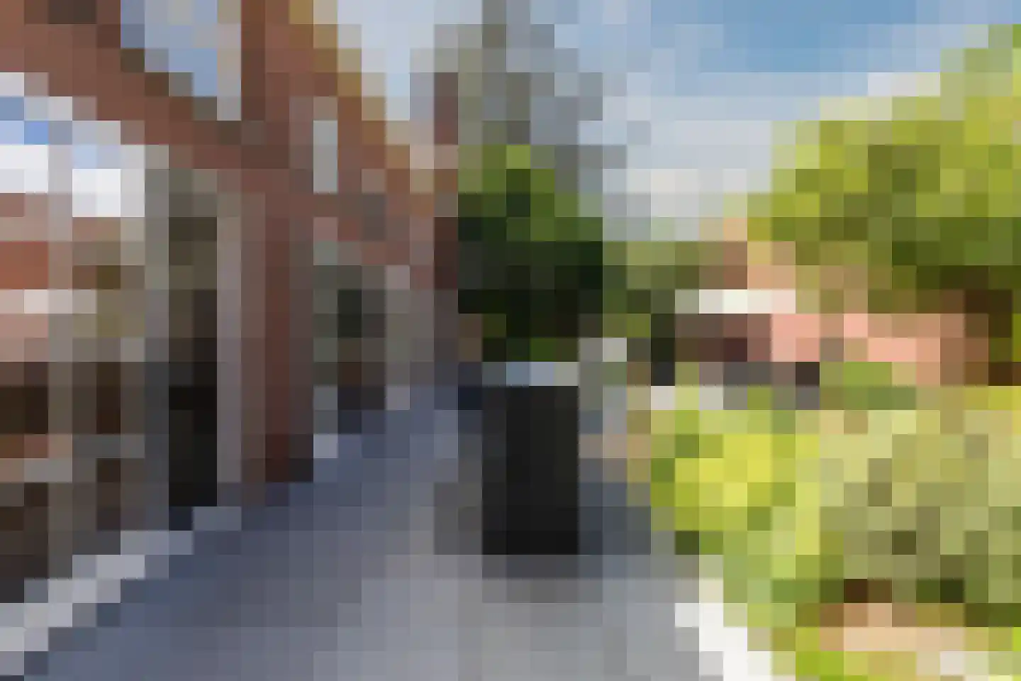 Bovenste straat 20 A Echt thumbnail 69