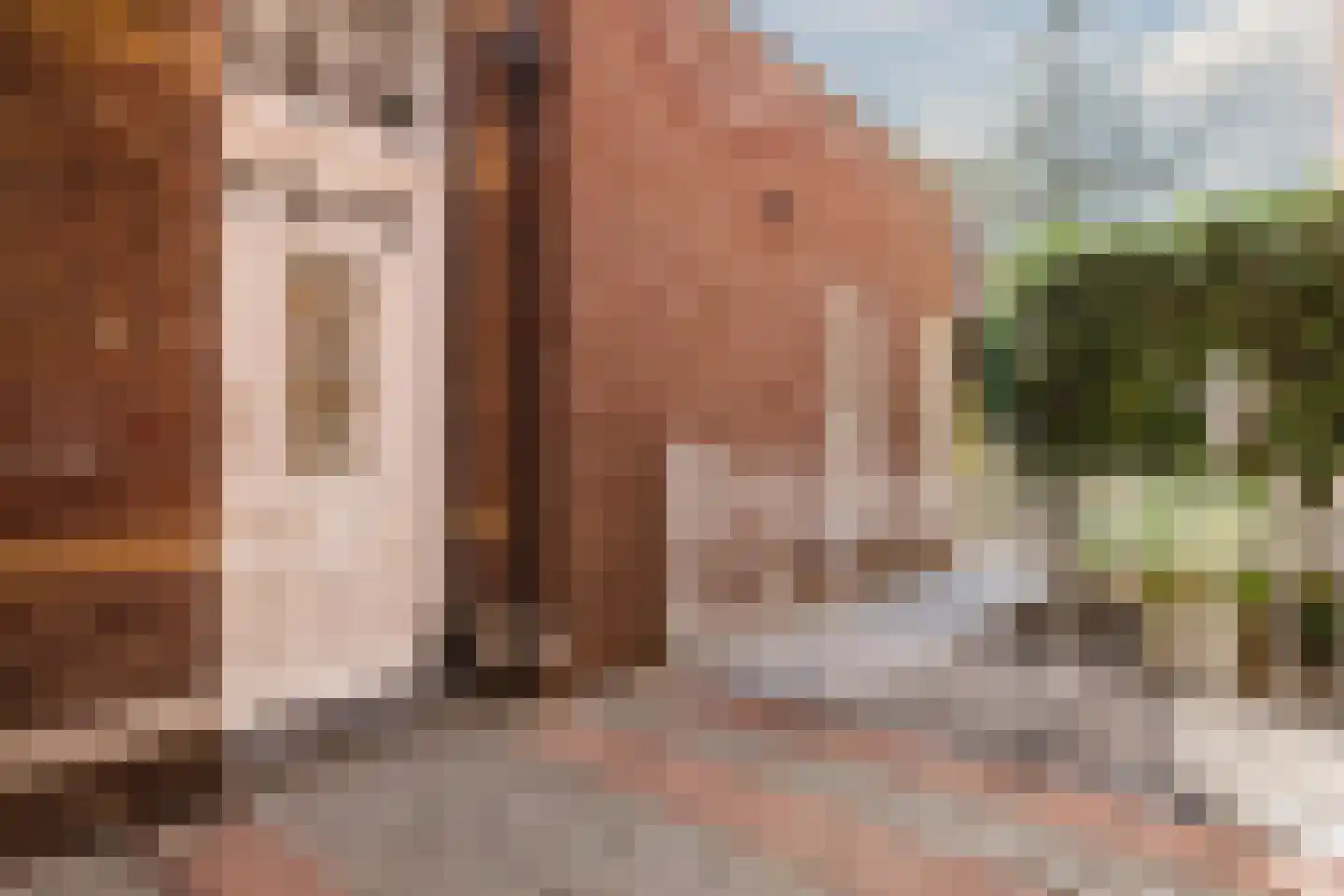 Bovenste straat 20 A Echt thumbnail 7