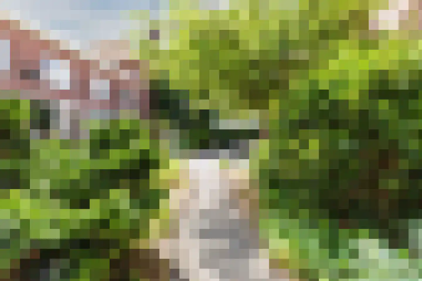 Bovenste straat 20 A Echt thumbnail 72