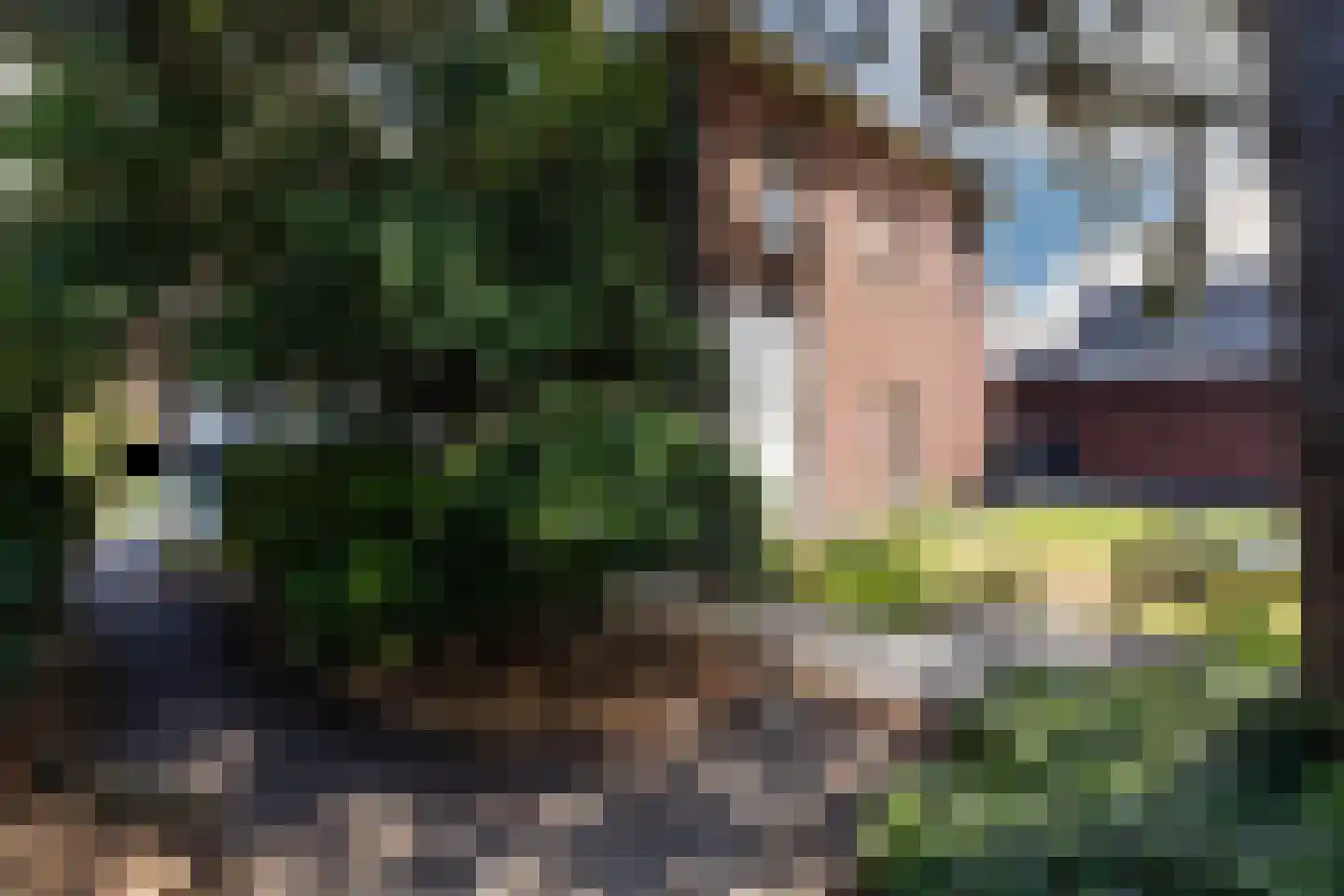 Bovenste straat 20 A Echt thumbnail 74