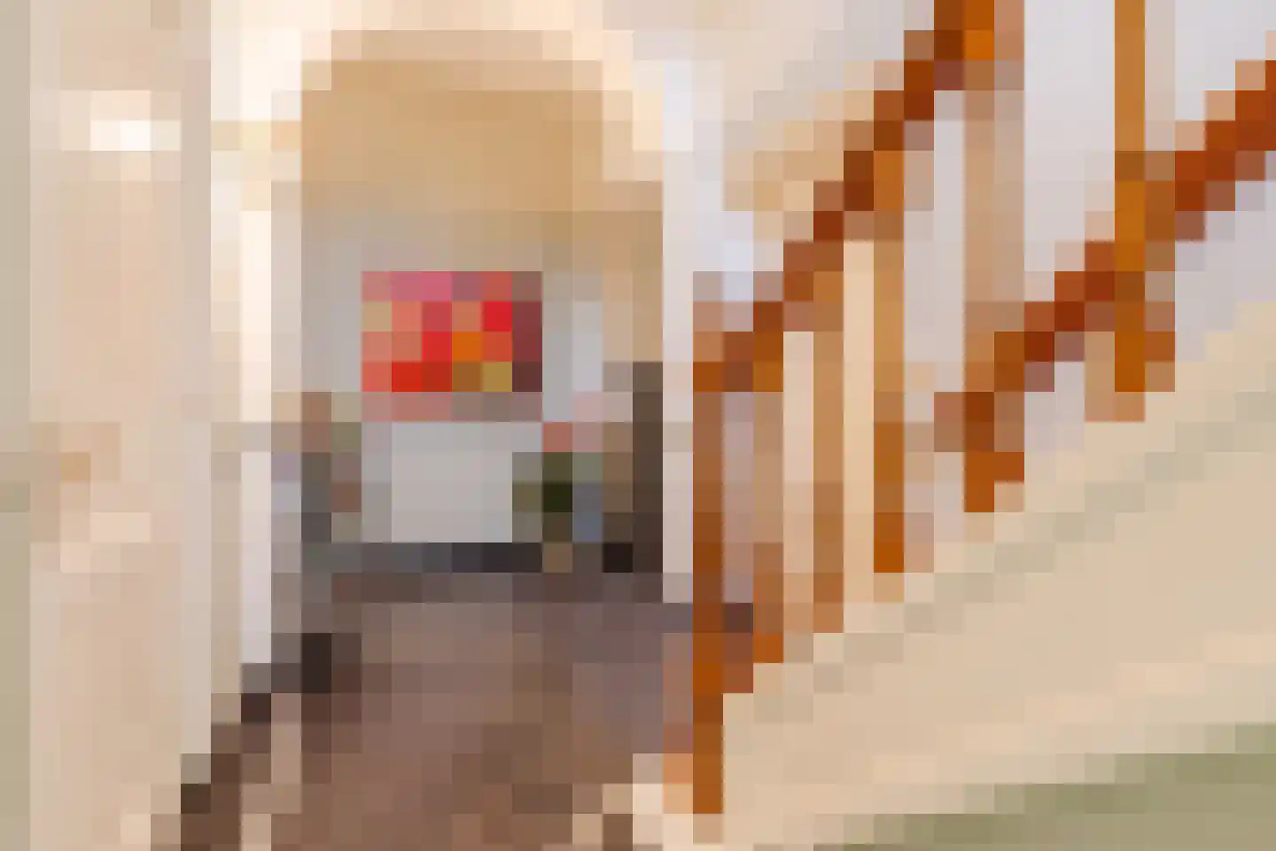Bovenste straat 20 A Echt thumbnail 8