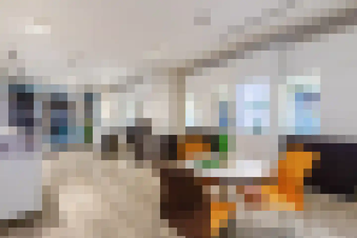 Bovenste straat 20 A Echt thumbnail 82