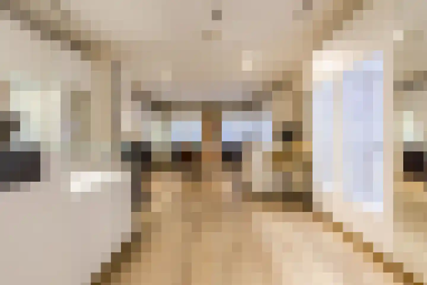 Bovenste straat 20 A Echt thumbnail 83