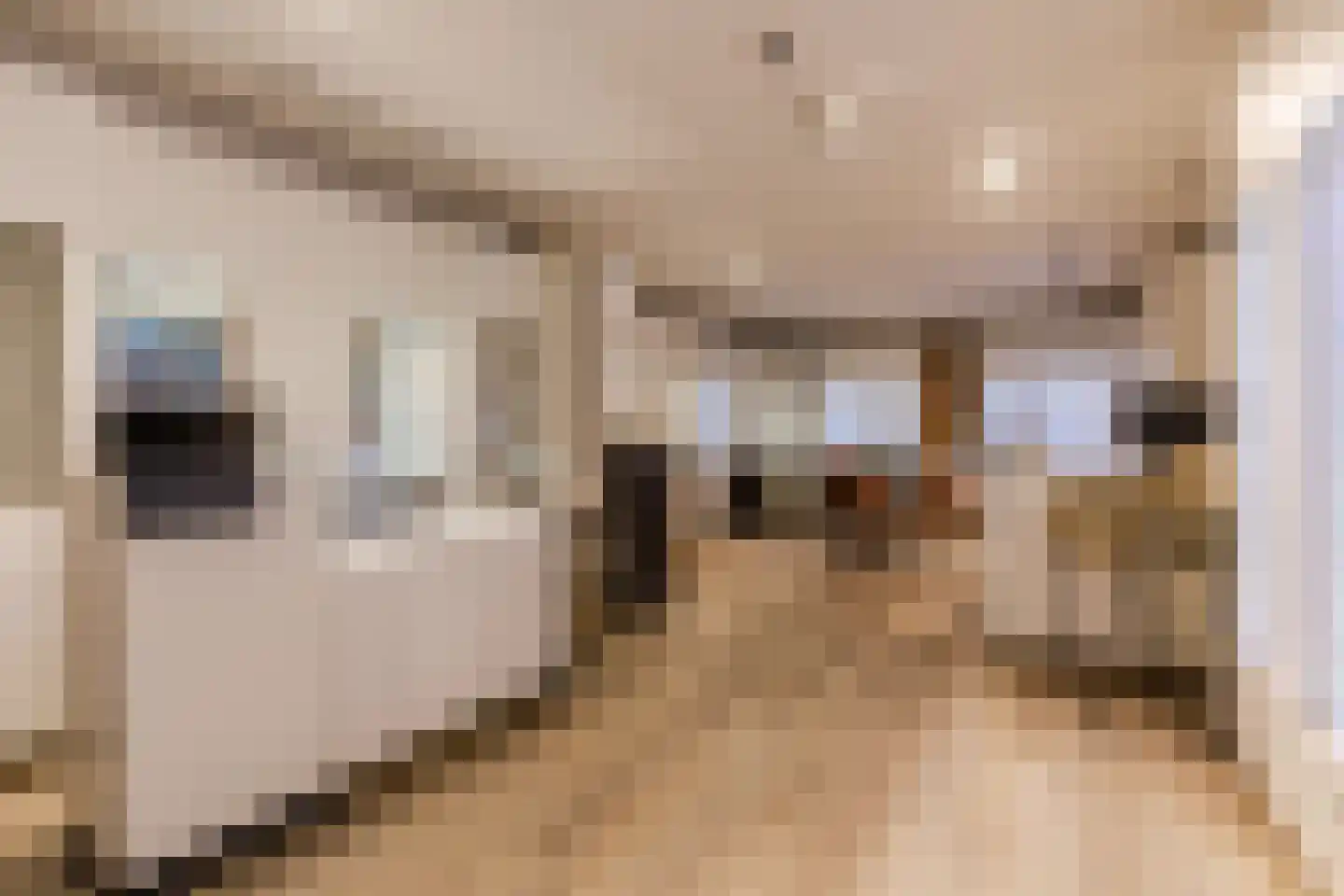 Bovenste straat 20 A Echt thumbnail 84