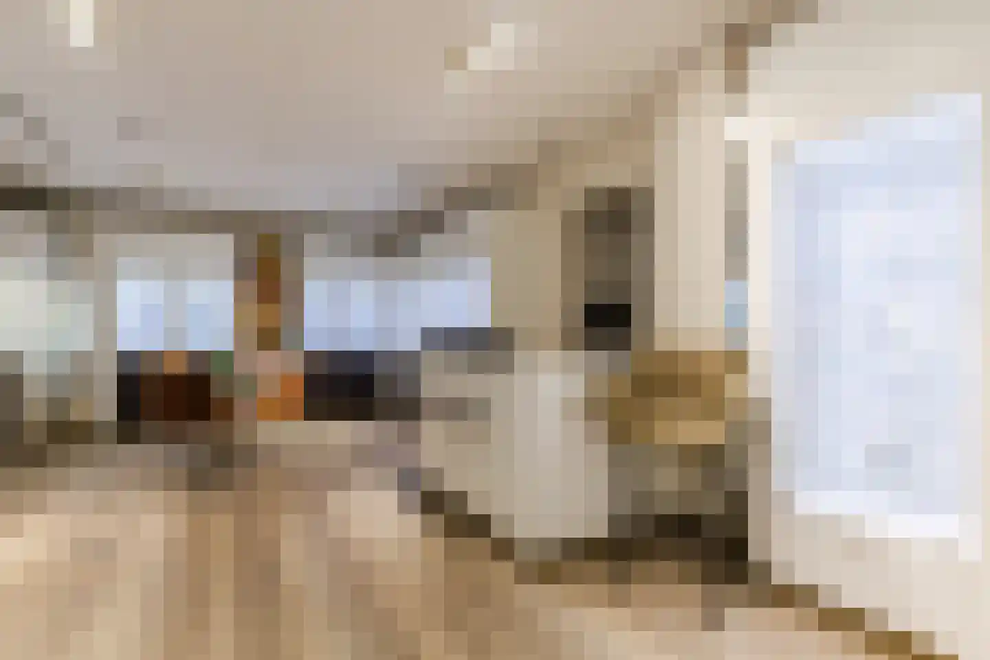 Bovenste straat 20 A Echt thumbnail 85