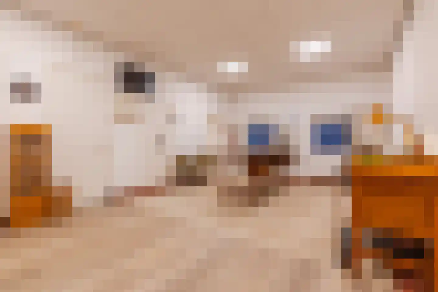 Bovenste straat 20 A Echt thumbnail 88
