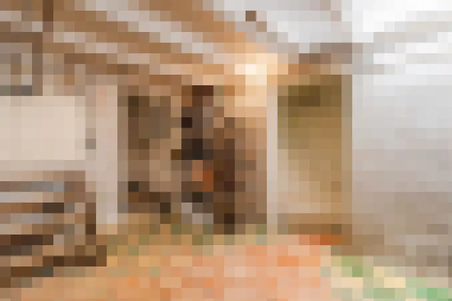Bovenste straat 20 A Echt thumbnail 91