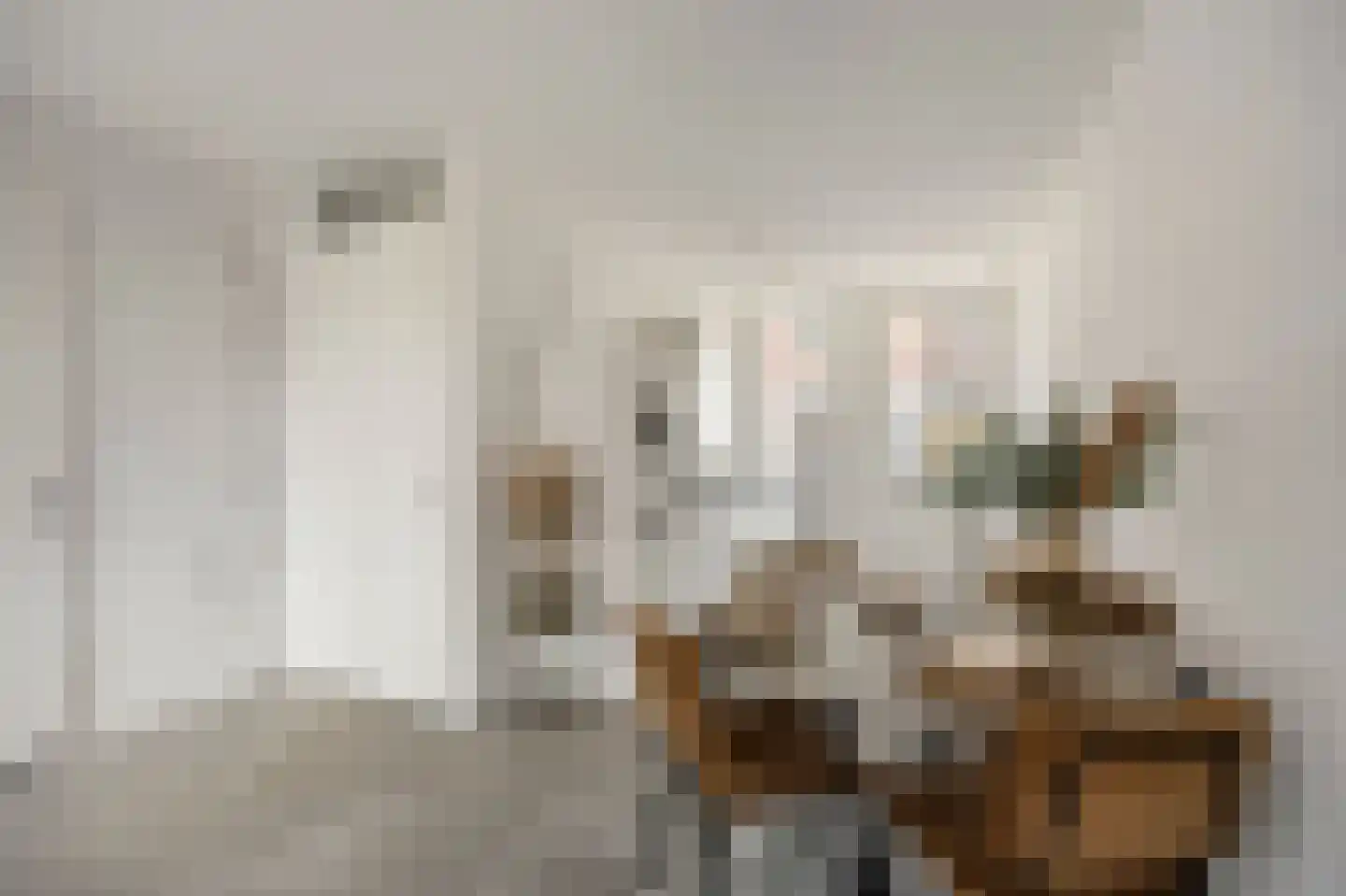 Bovenste straat 44 A Echt thumbnail 21