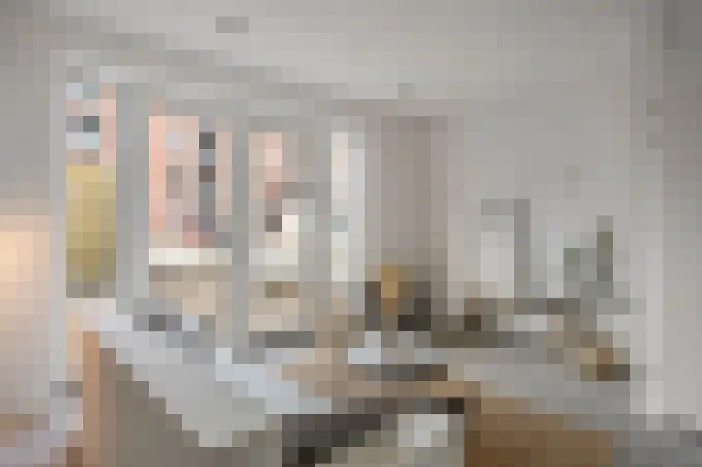 Bovenste straat 44 A Echt thumbnail 23