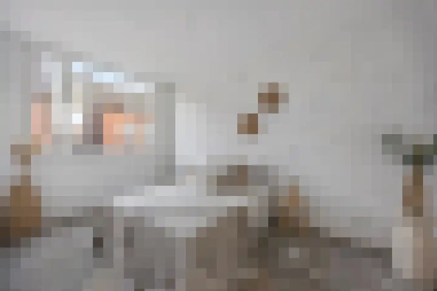 Bovenste straat 44 A Echt thumbnail 29
