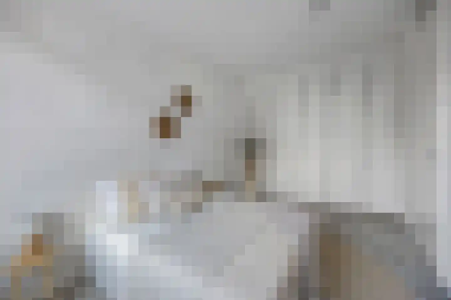 Bovenste straat 44 A Echt thumbnail 30