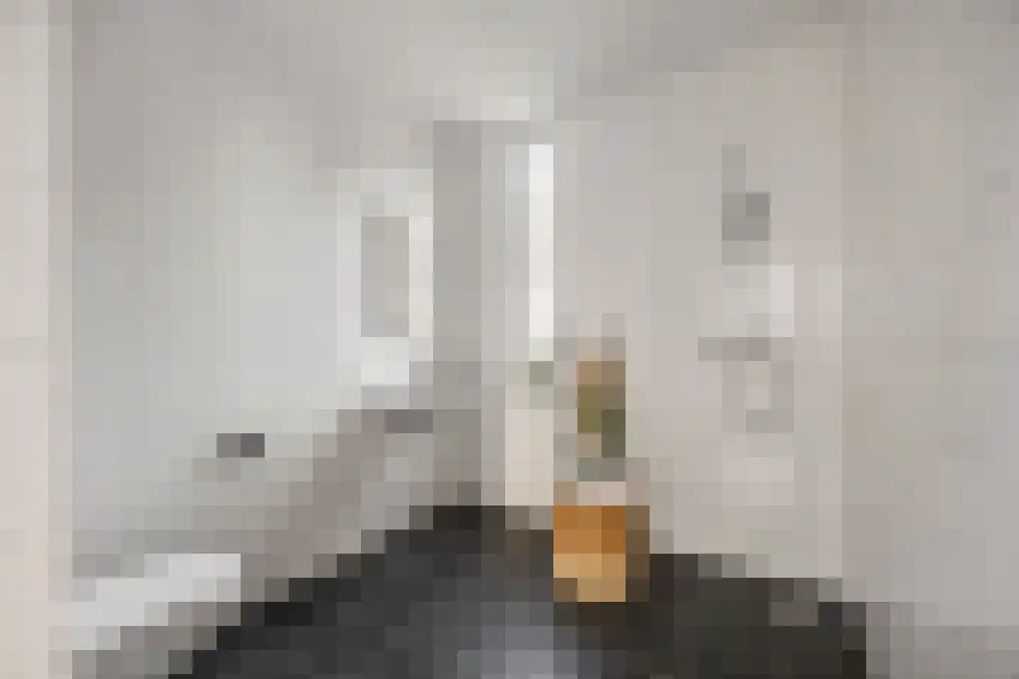 Bovenste straat 44 A Echt thumbnail 33
