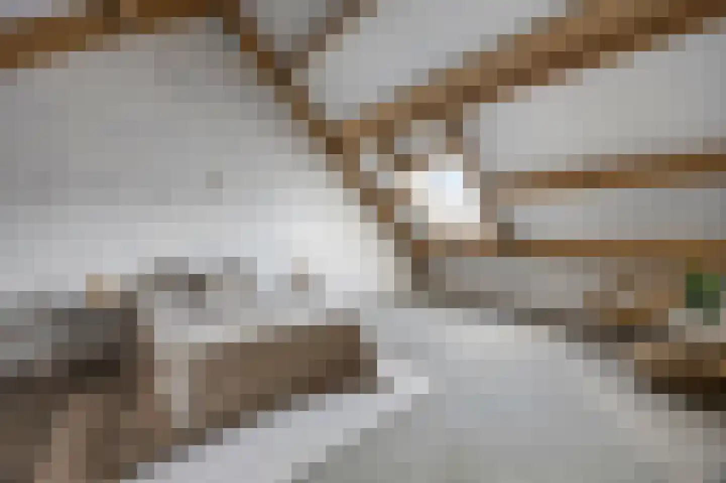 Bovenste straat 44 A Echt thumbnail 37