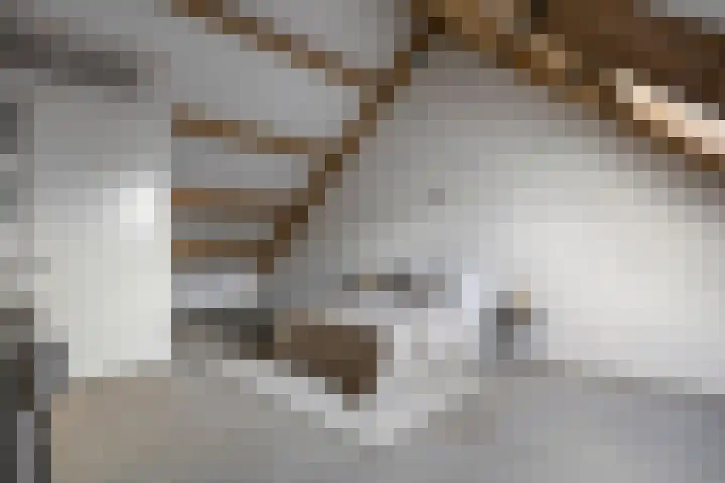 Bovenste straat 44 A Echt thumbnail 38