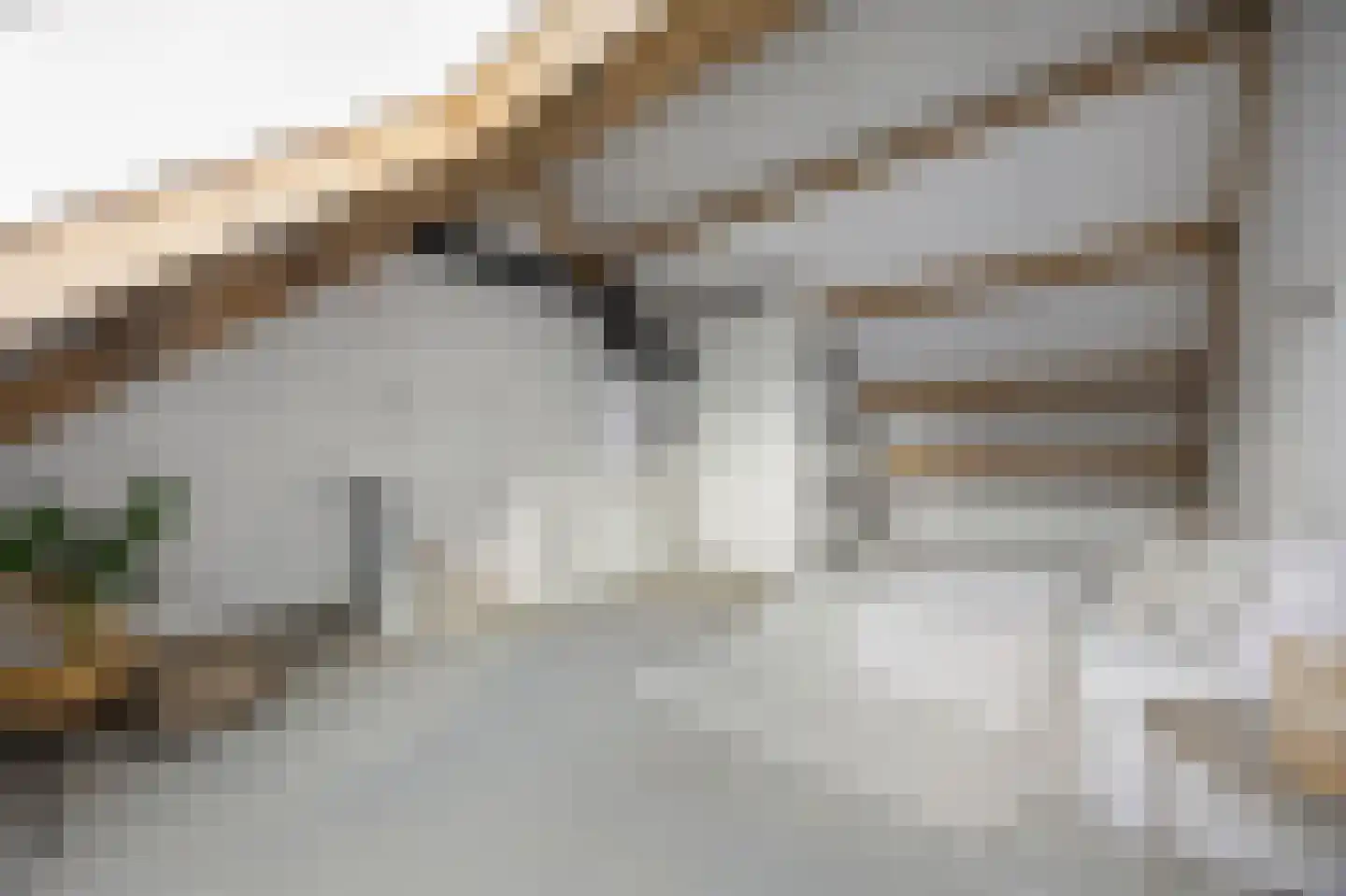 Bovenste straat 44 A Echt thumbnail 40