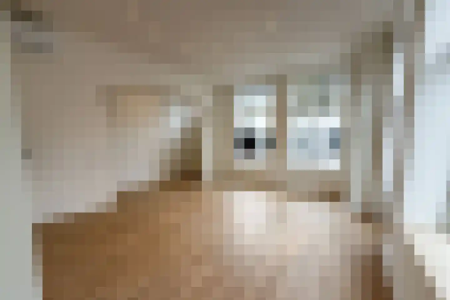 Bovenste straat 51 Echt thumbnail 11