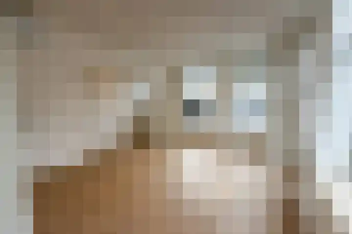 Bovenste straat 51 Echt thumbnail 7