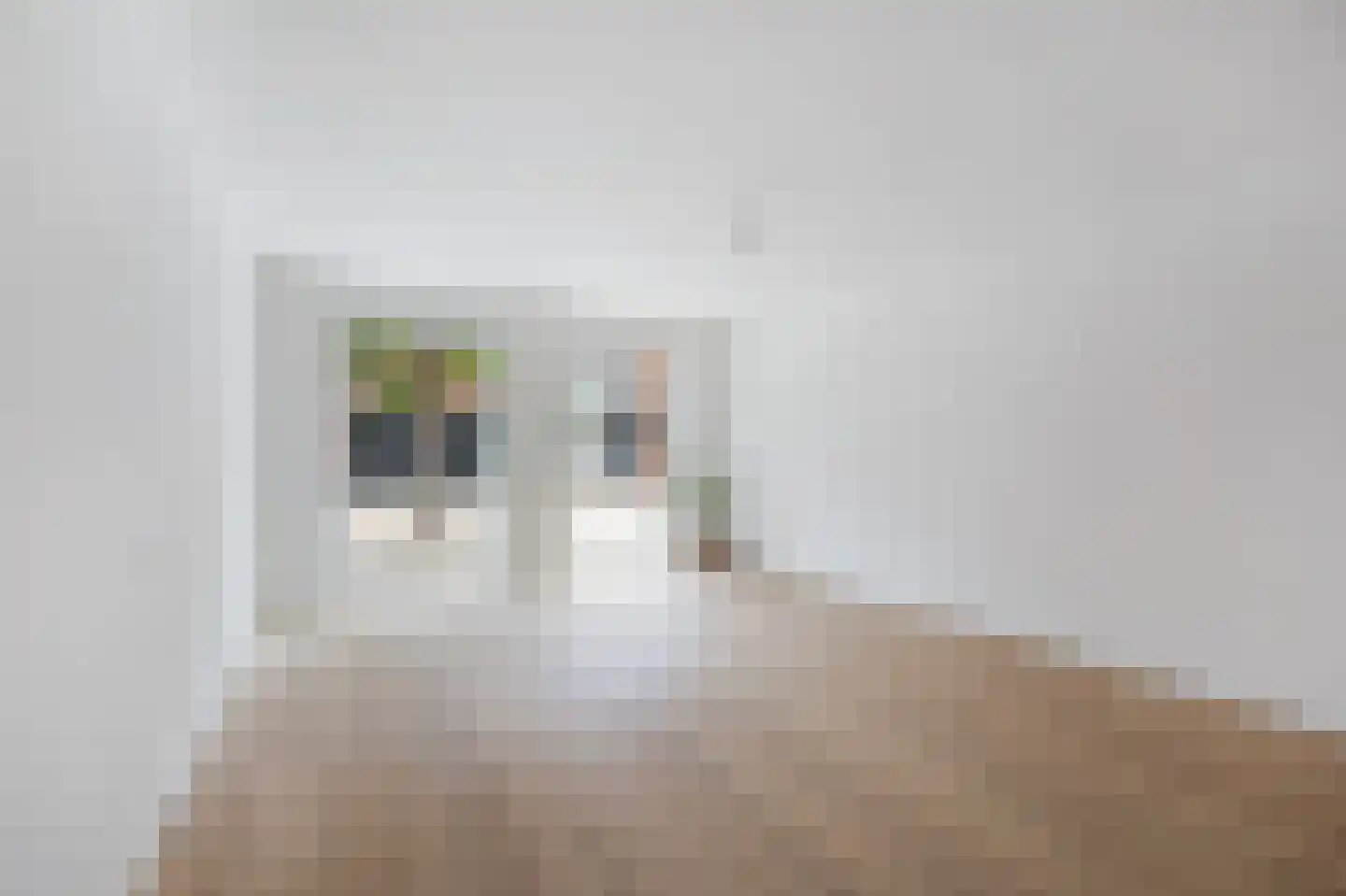 Bovenste straat 68 Echt thumbnail 16