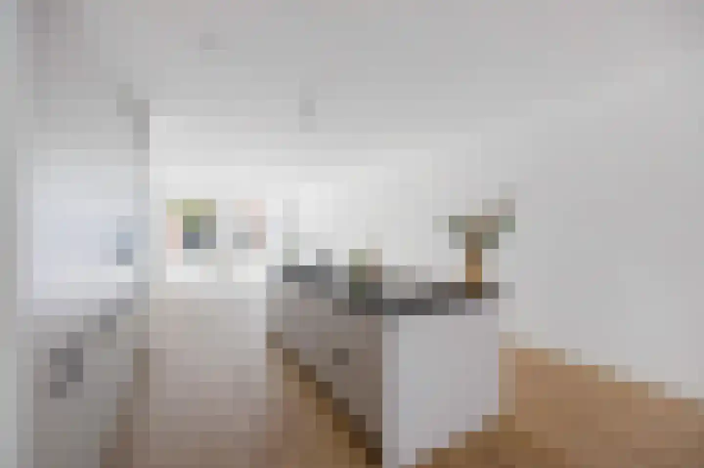 Bovenste straat 68 Echt thumbnail 23