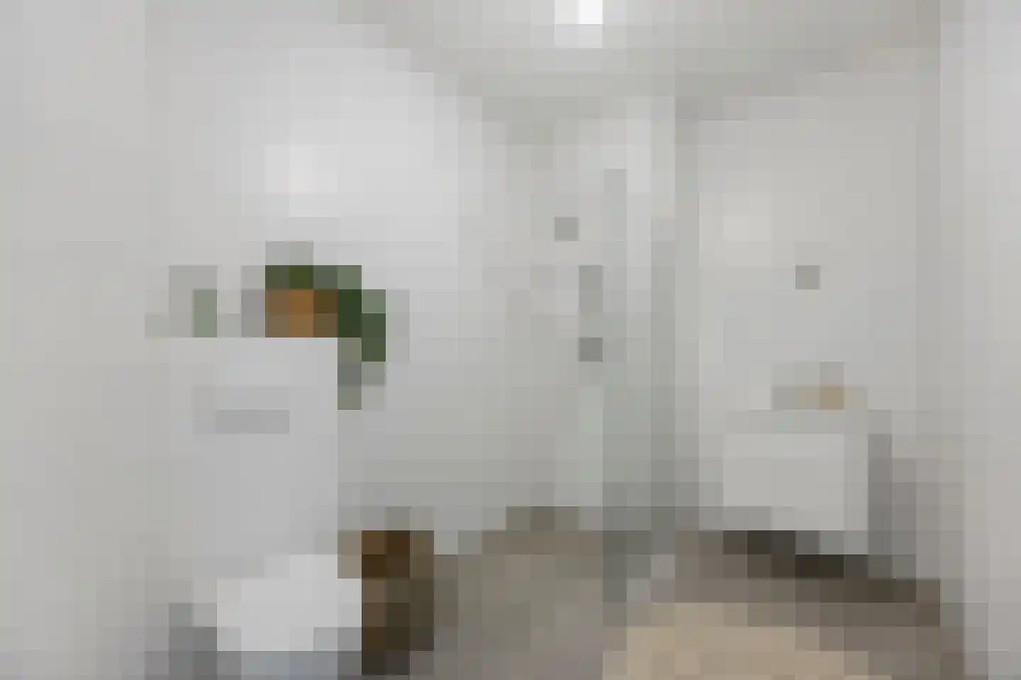 Bovenste straat 68 Echt thumbnail 27
