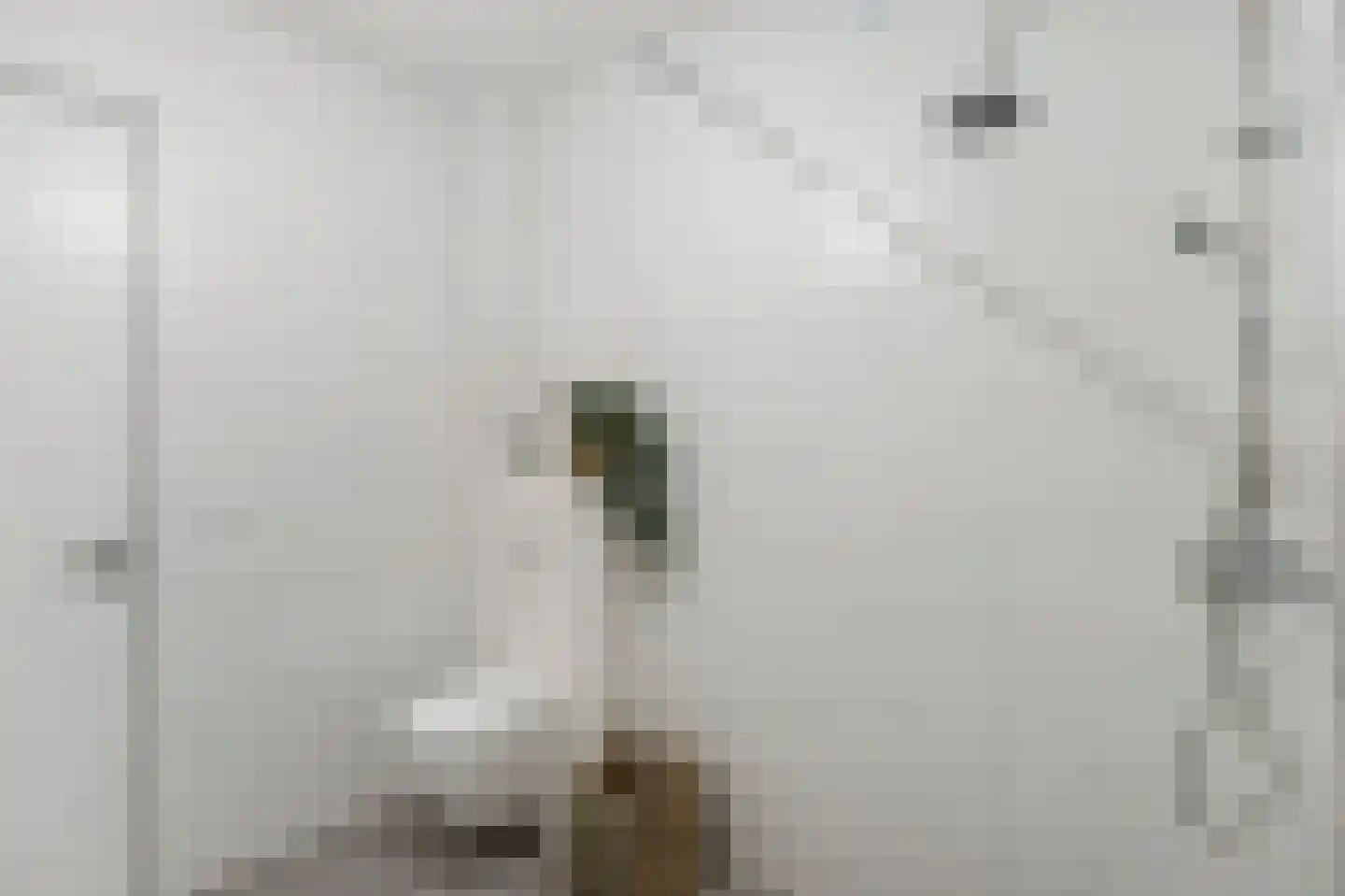 Bovenste straat 68 Echt thumbnail 29