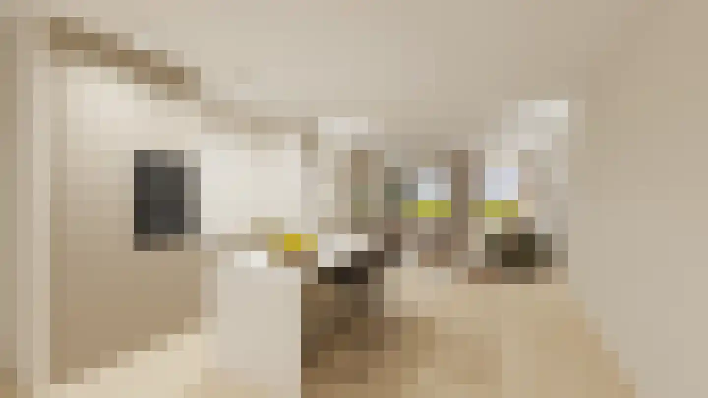 Bovenste straat 68 Echt thumbnail 33