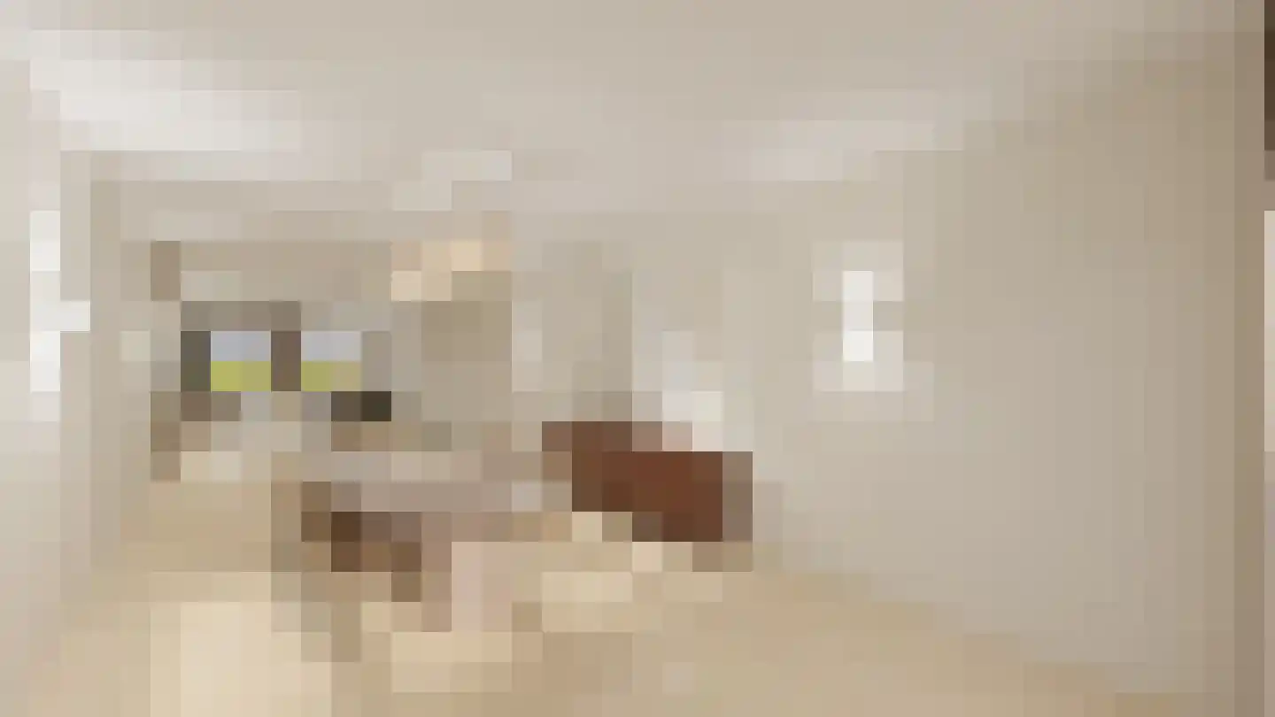 Bovenste straat 68 Echt thumbnail 37