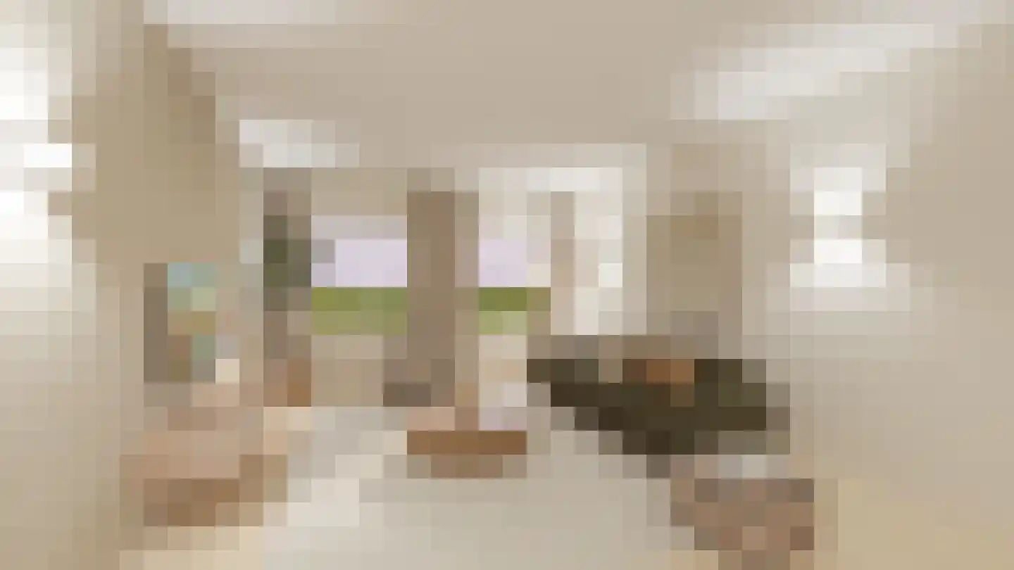 Bovenste straat 68 Echt thumbnail 39