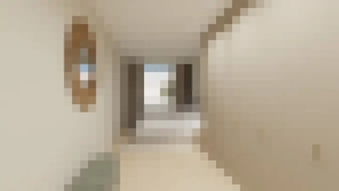 Bovenste straat 68 Echt thumbnail 41