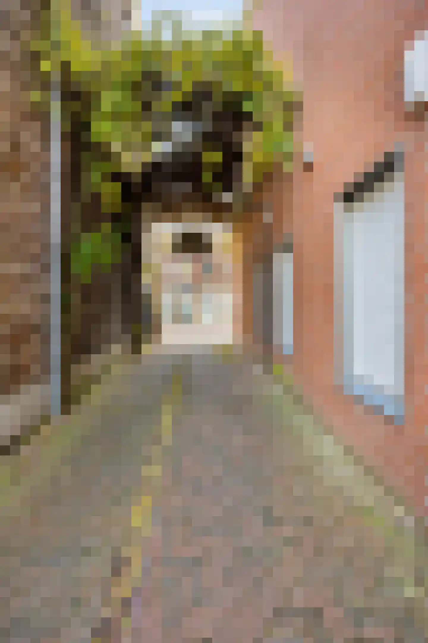 Bovenste straat 68 Echt thumbnail 52