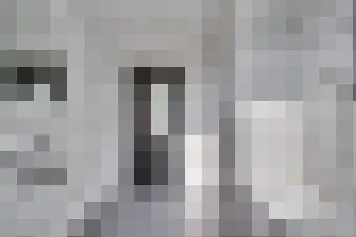 Bovenste straat 73 A Echt thumbnail 21