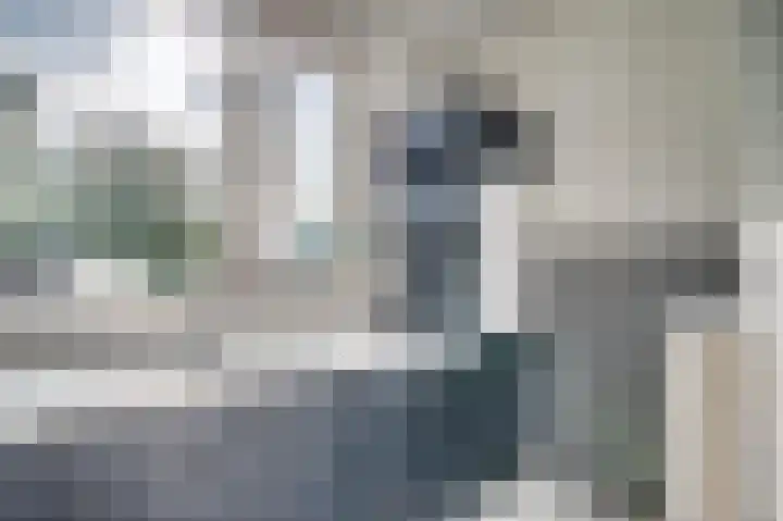 Bovenste straat 73 A Echt thumbnail 22