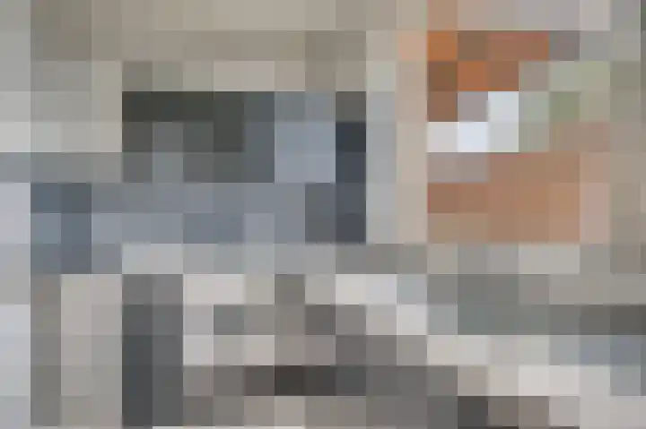 Bovenste straat 73 A Echt thumbnail 23