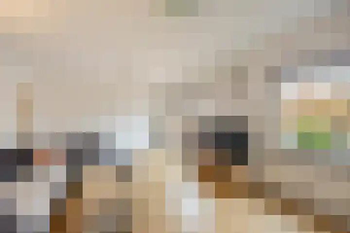 Bovenste straat 73 B Echt thumbnail 11