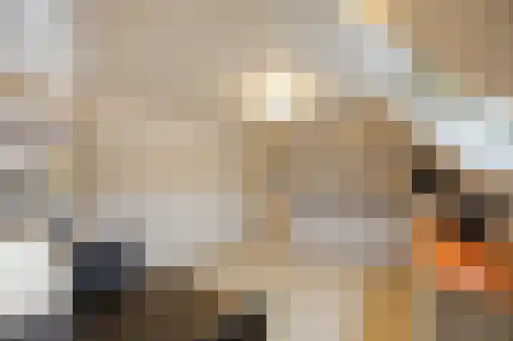 Bovenste straat 73 B Echt thumbnail 16