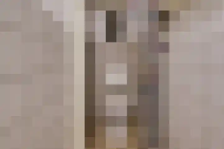 Bovensteenakkers 21 's-Heerenberg thumbnail 11