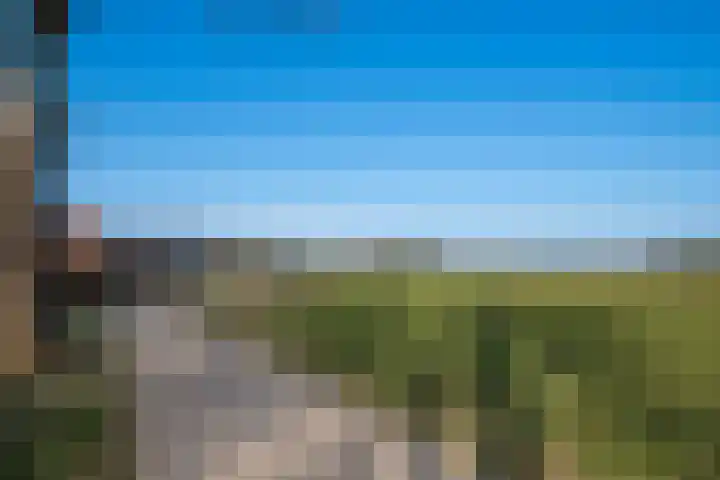 Bovensteenakkers 21 's-Heerenberg thumbnail 25