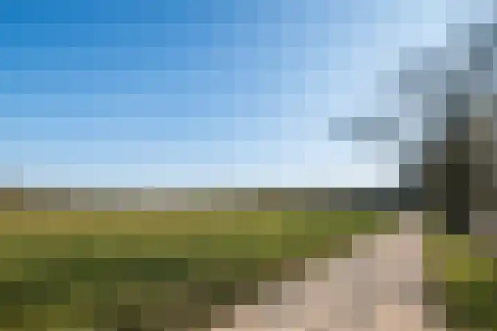 Bovensteenakkers 21 's-Heerenberg thumbnail 26