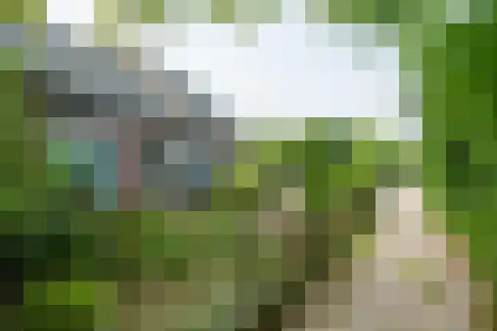 Bovensteenakkers 9 's-Heerenberg thumbnail 5