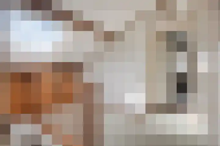 Bovensteweg 3 Mook thumbnail 20