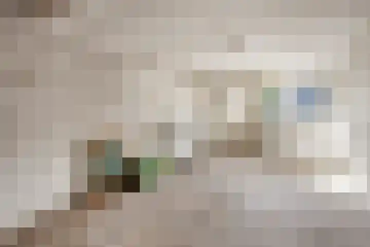 Bovensteweg 3 Mook thumbnail 27