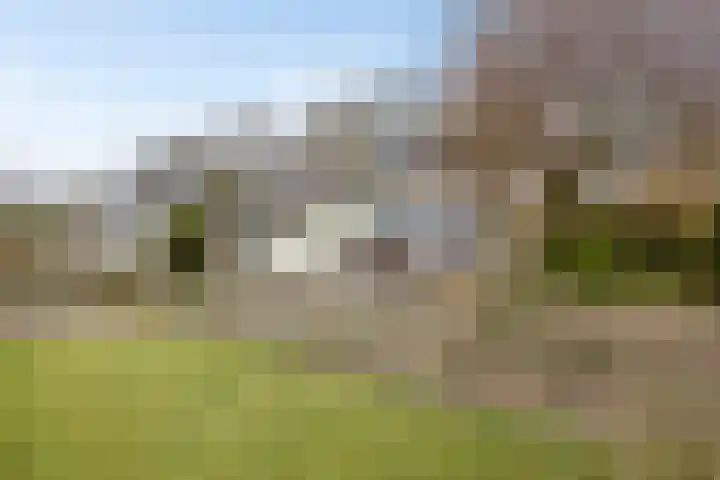 Bovensteweg 3 Mook thumbnail 30