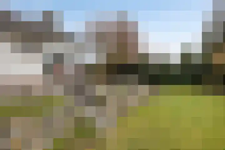 Bovensteweg 3 Mook thumbnail 32