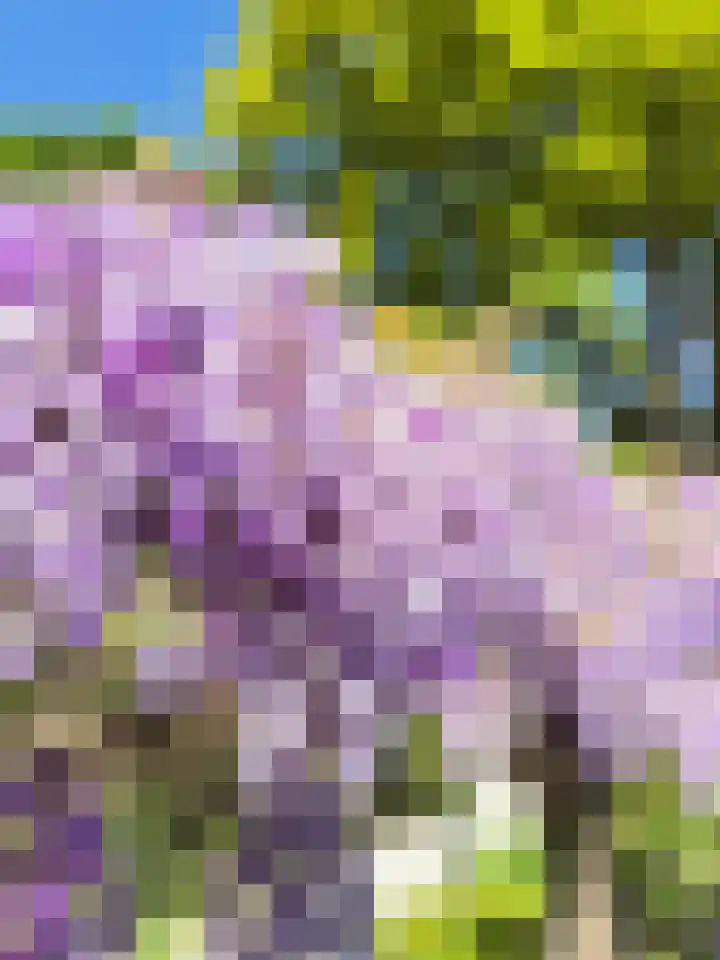 Bovensteweg 3 Mook thumbnail 33
