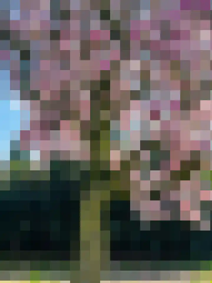 Bovensteweg 3 Mook thumbnail 36