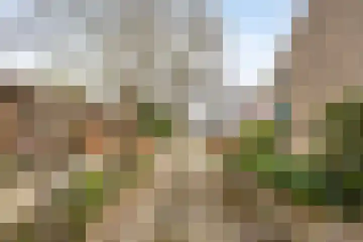 Bovensteweg 3 Mook thumbnail 39