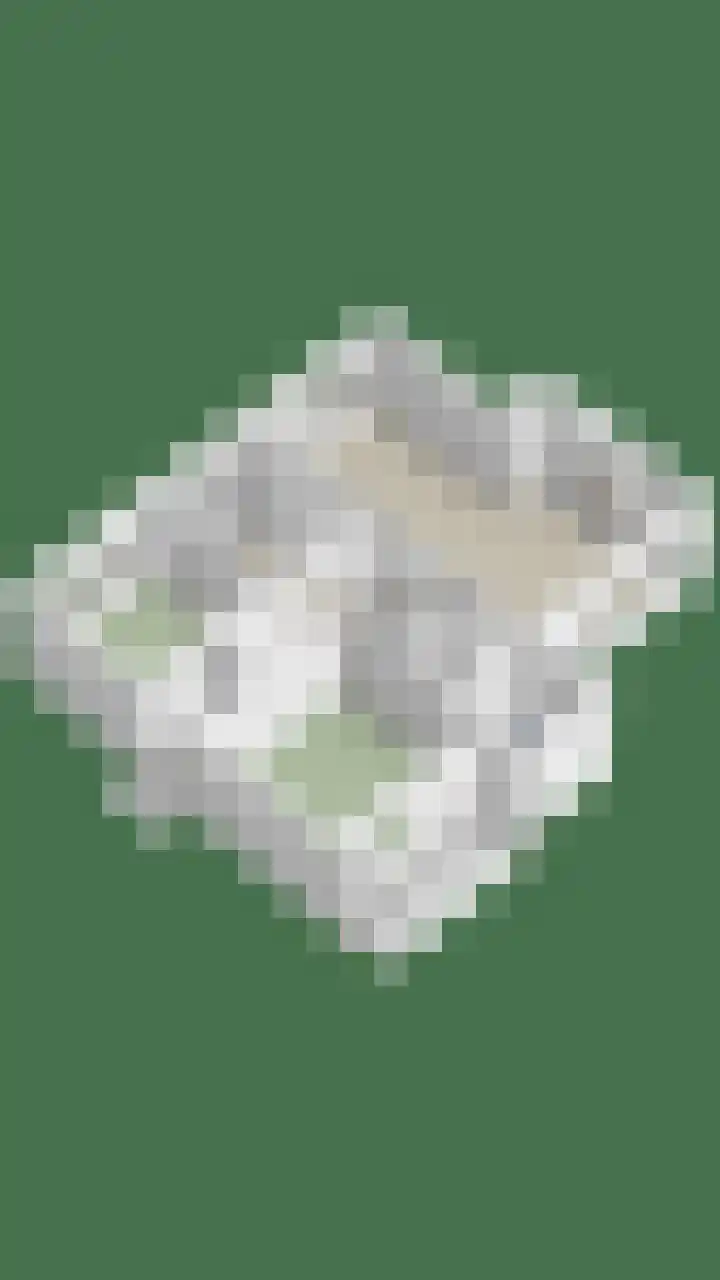 Bovensteweg 3 Mook thumbnail 46