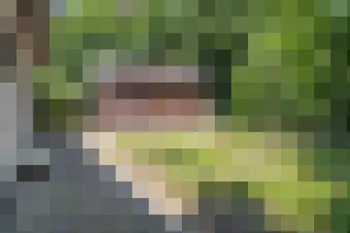 Bovensteweg 34 Mook thumbnail 25